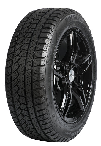 225/55HR17  GOLDLINE TL GLW1 XL