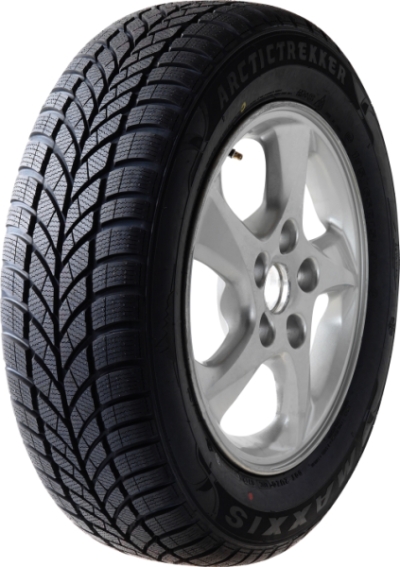 2255017 98V Maxxis WP05
